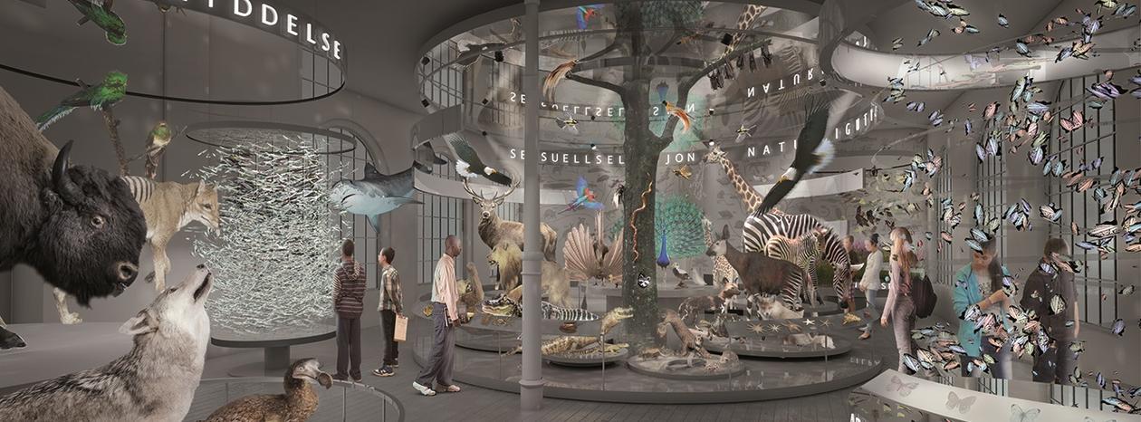 illustrasjon over et rom med utstillinger av dyr, fugler, fisker.