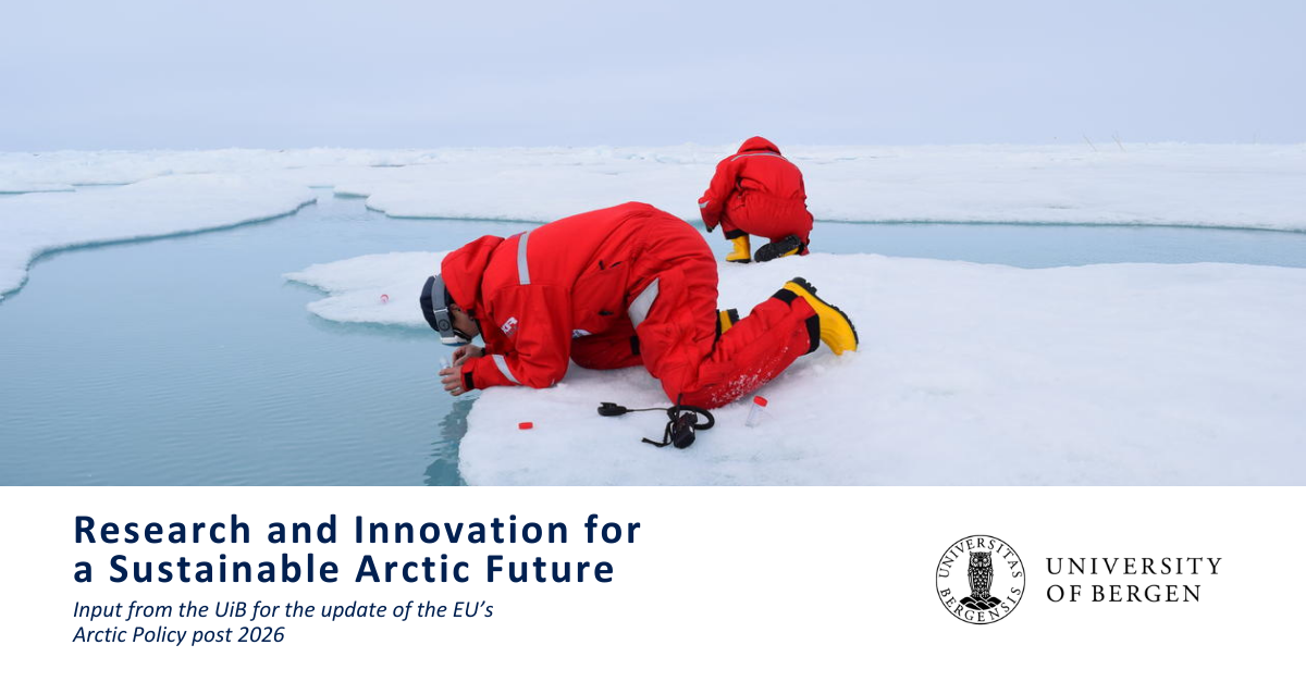 researchers in the Arctic