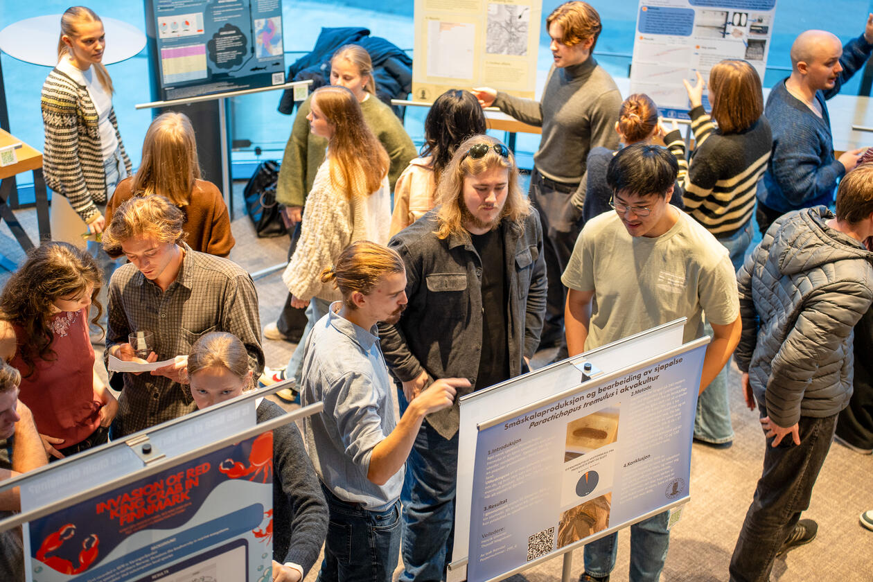 Studentpostersymposiet gir studentene øving i forskningsformidling. Her presenterer de postere i vrimlearealet ved Vilvite.