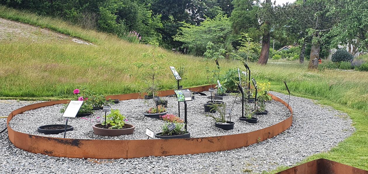 Trua og truende arter