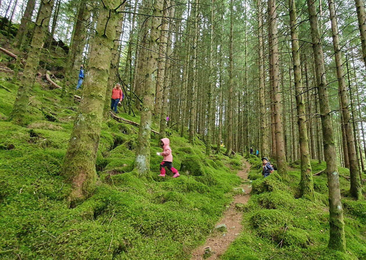 Barn og voksne på tur i skogen