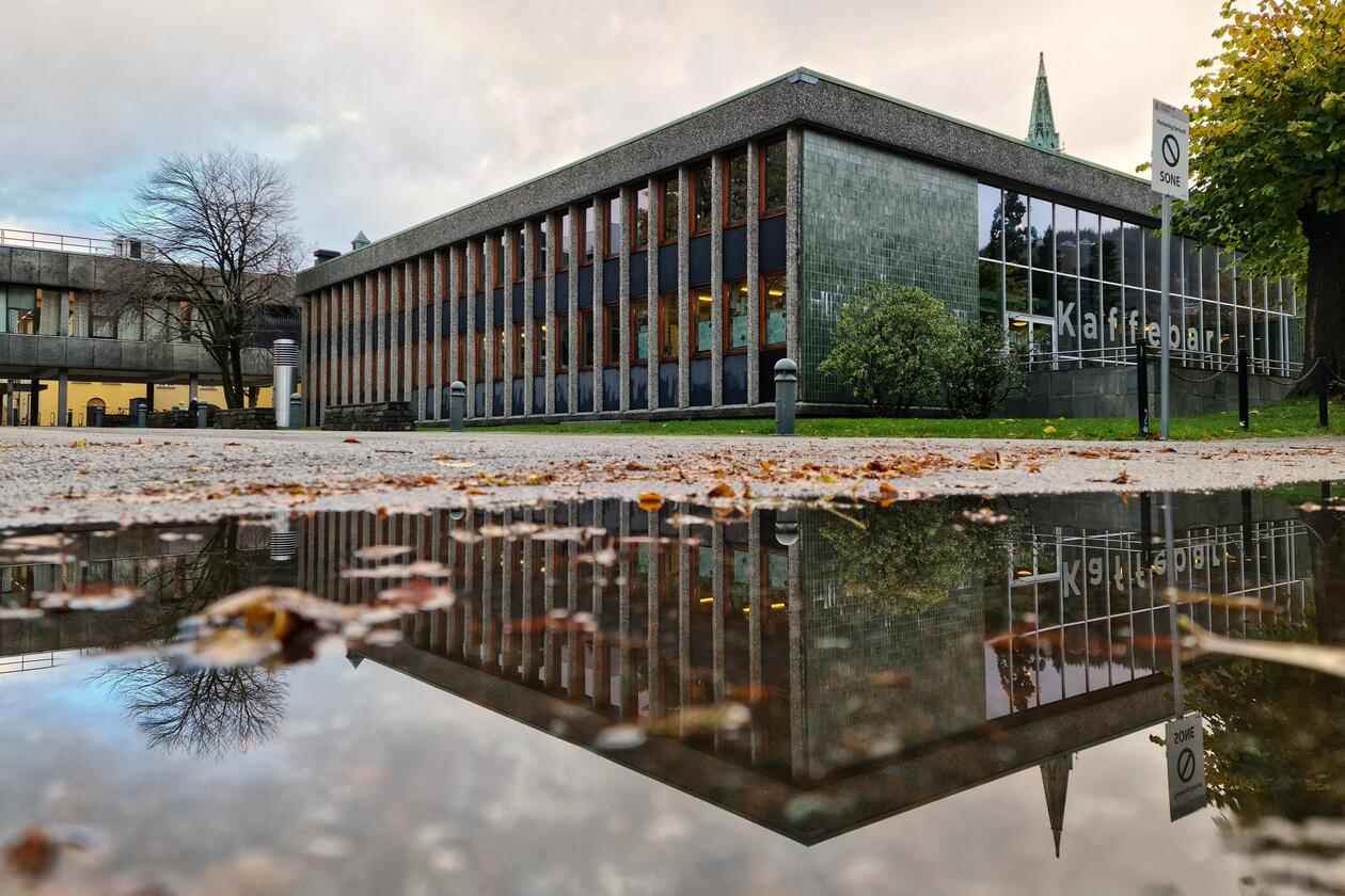 Bilde av Bibliotek for humaniora som speglar seg i ein pytt