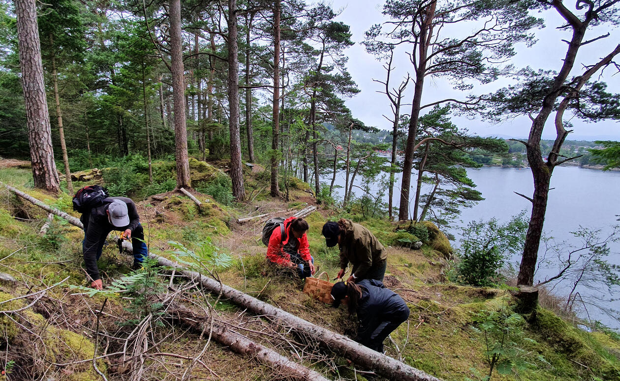 4 personer på sopptur i Arboretet