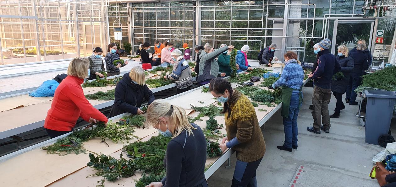 Kransebinding i veksthuset