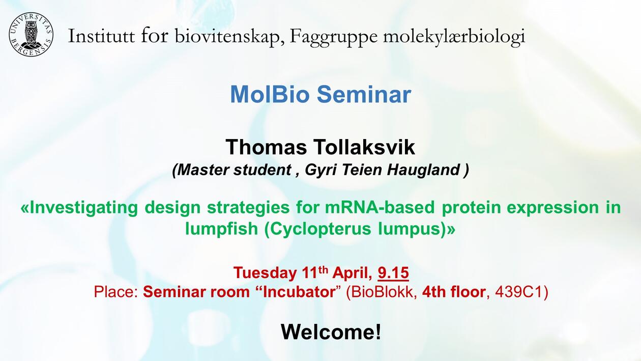 Posteroppslag om presentasjonen