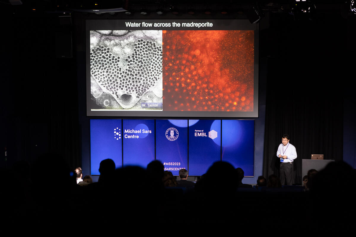 Kazuo Inaba presents his work