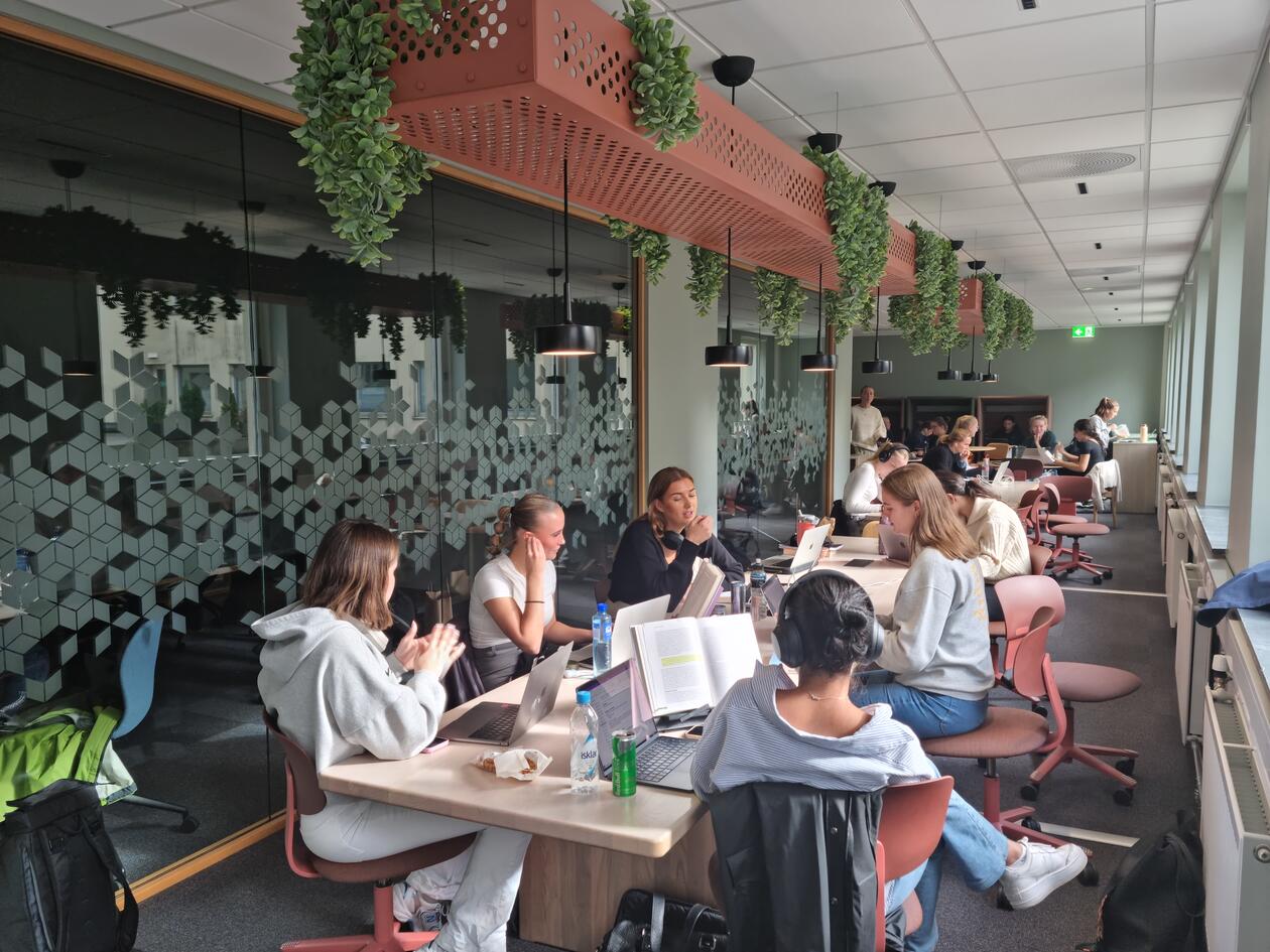 Læringsarealer i C12