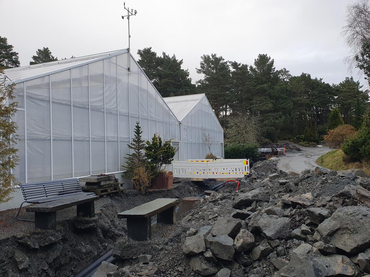 Excavation at the glasshouses