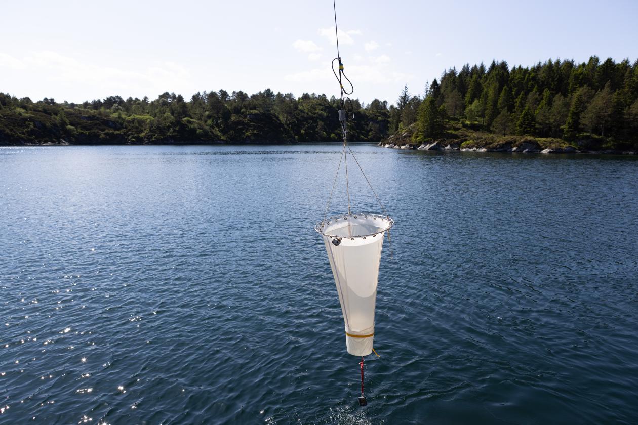 Plankton net descending in the water