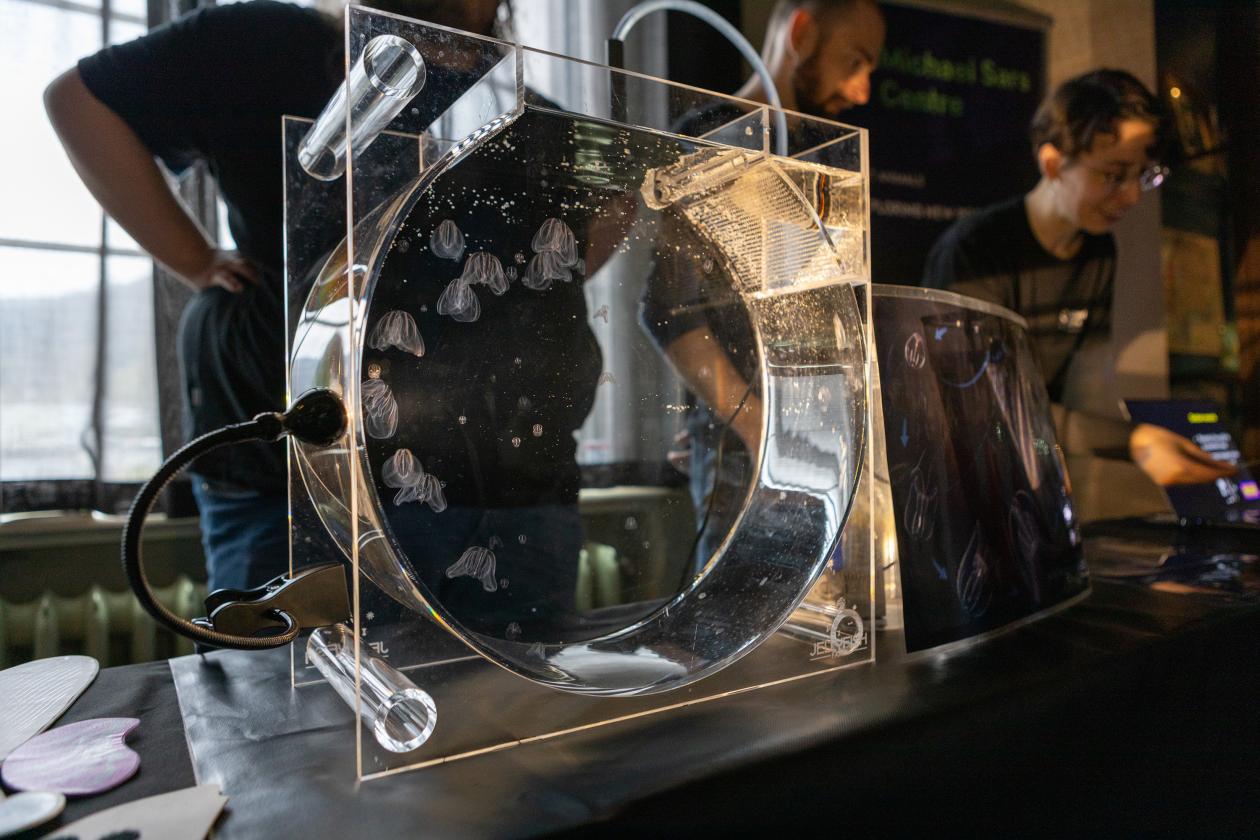 Resarchers presented ctenophores during the museum open day