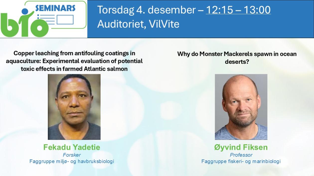 Posteroppslag om seminaret