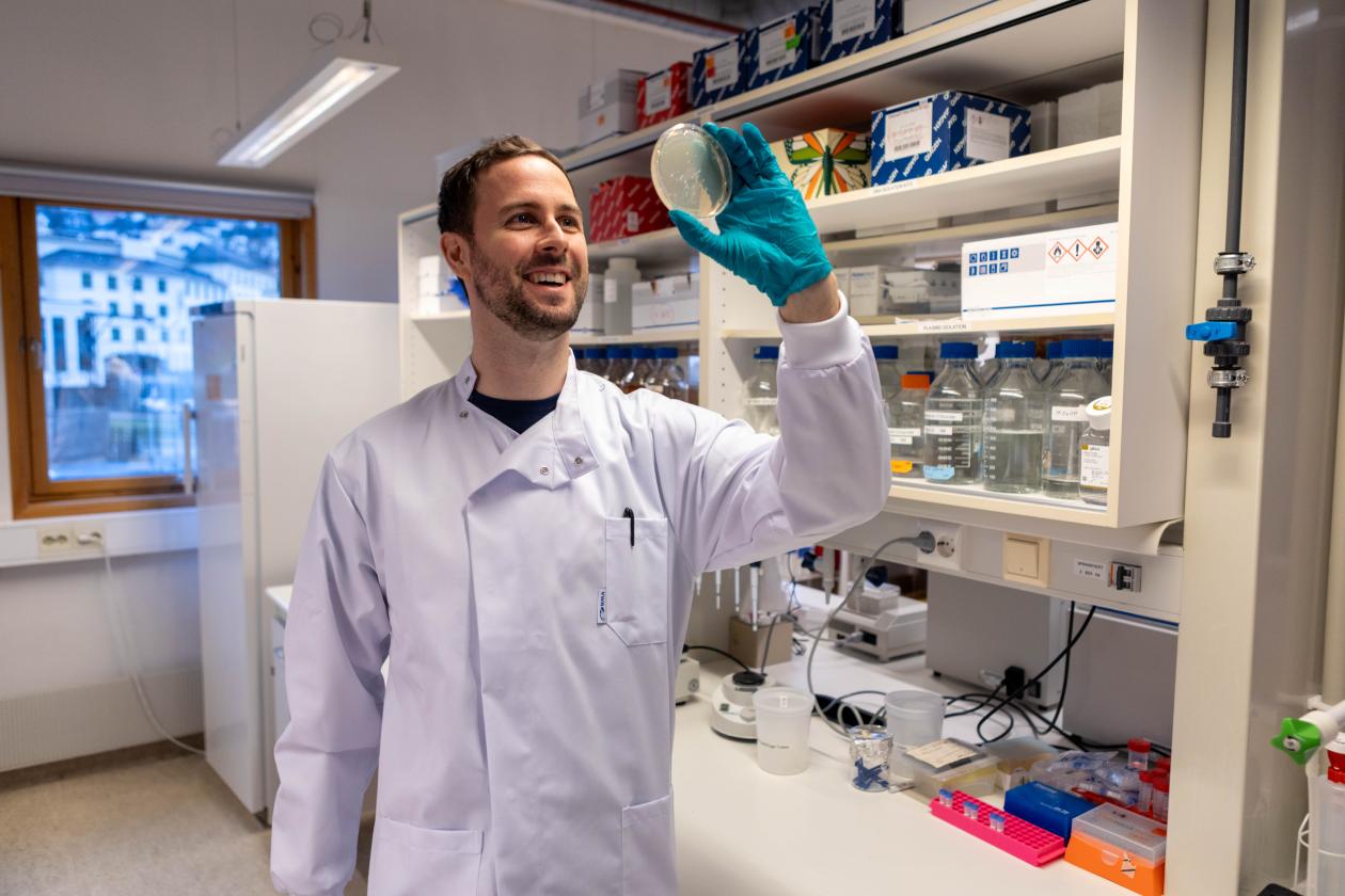 Researcher in the laboratory holding a petri dish