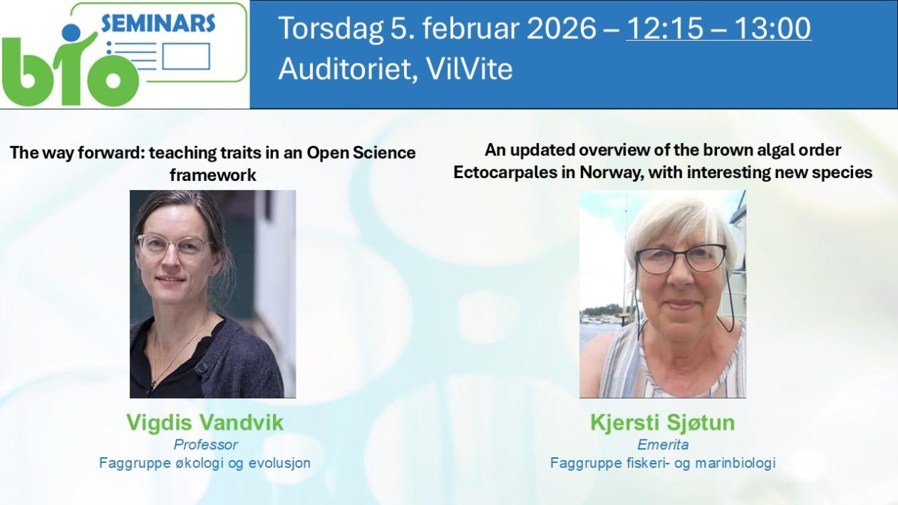 Posteroppslag om seminaret