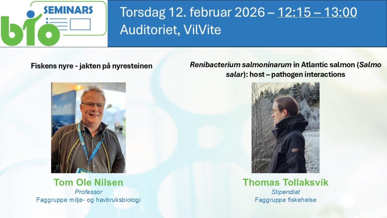 Posteroppslag om seminaret