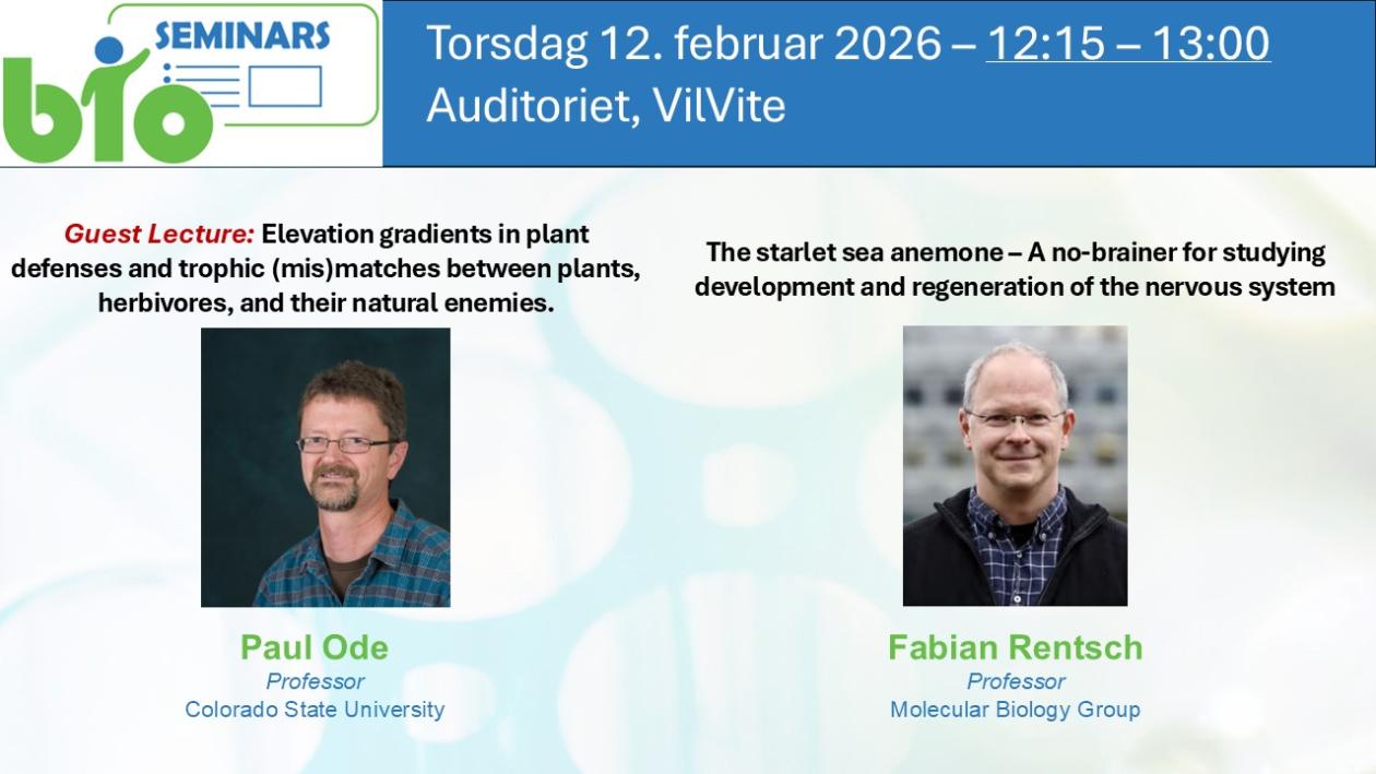 Posteroppslag om seminaret