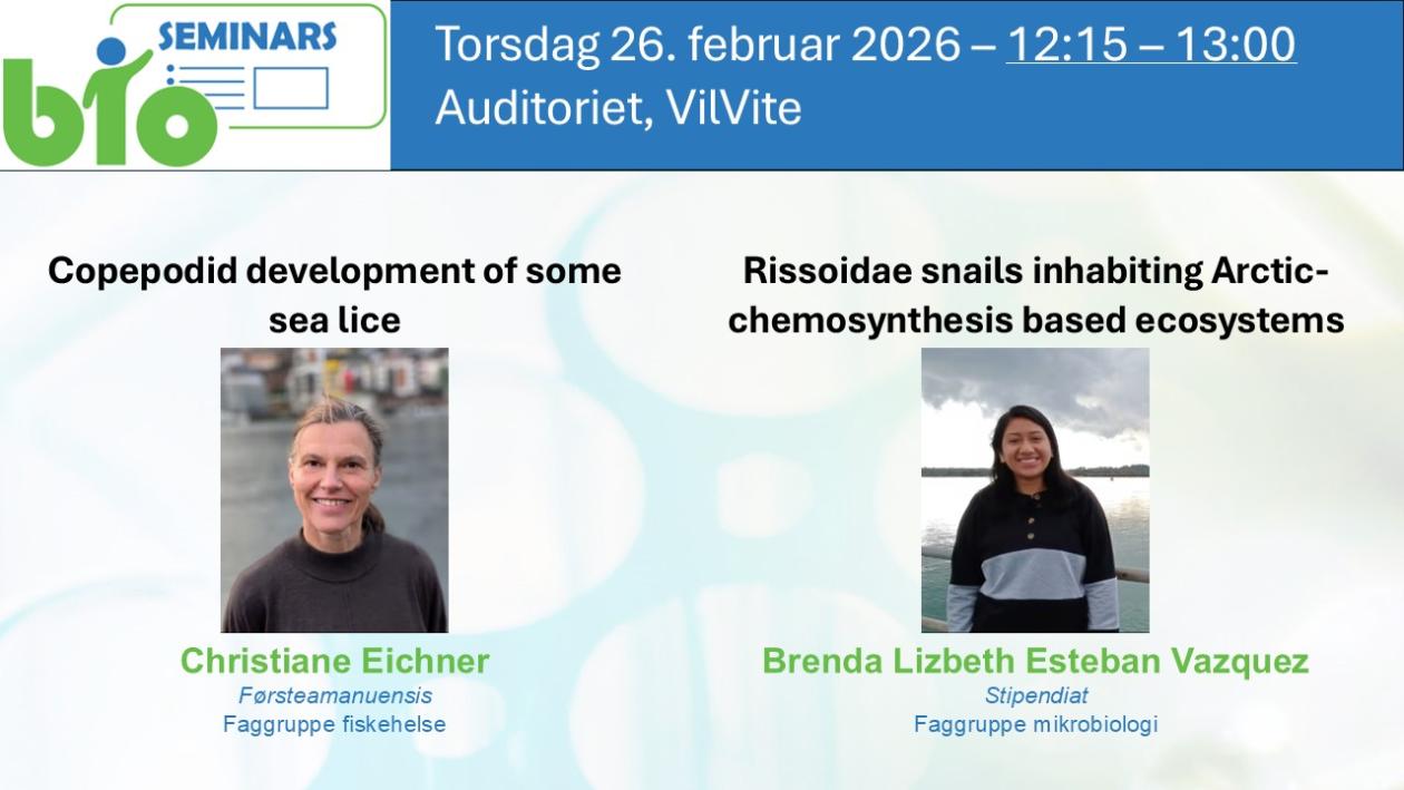 Posteroppslag om seminaret