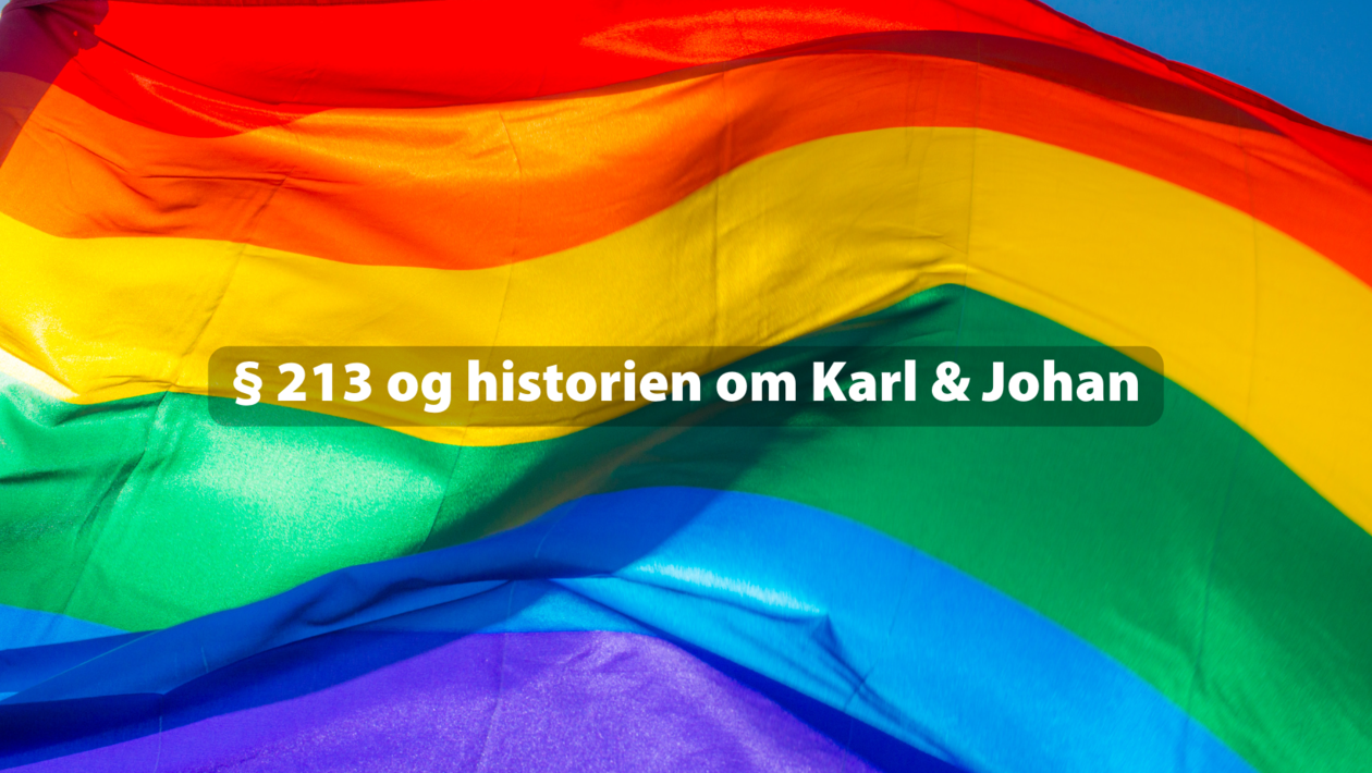 Prideflagg med teksten paragraf 213 og historien om Karl og Johan på