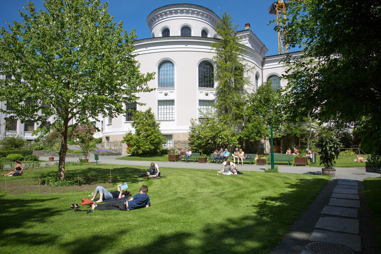University Museum Gardens