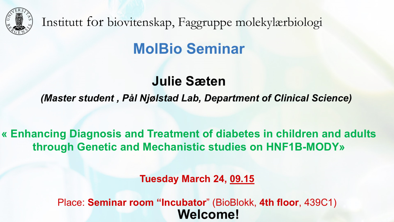 Posteroppslag om seminaret