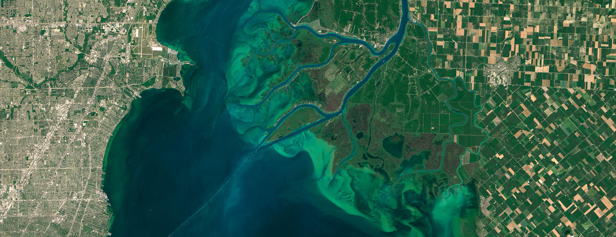 Satellite view of algae bloom