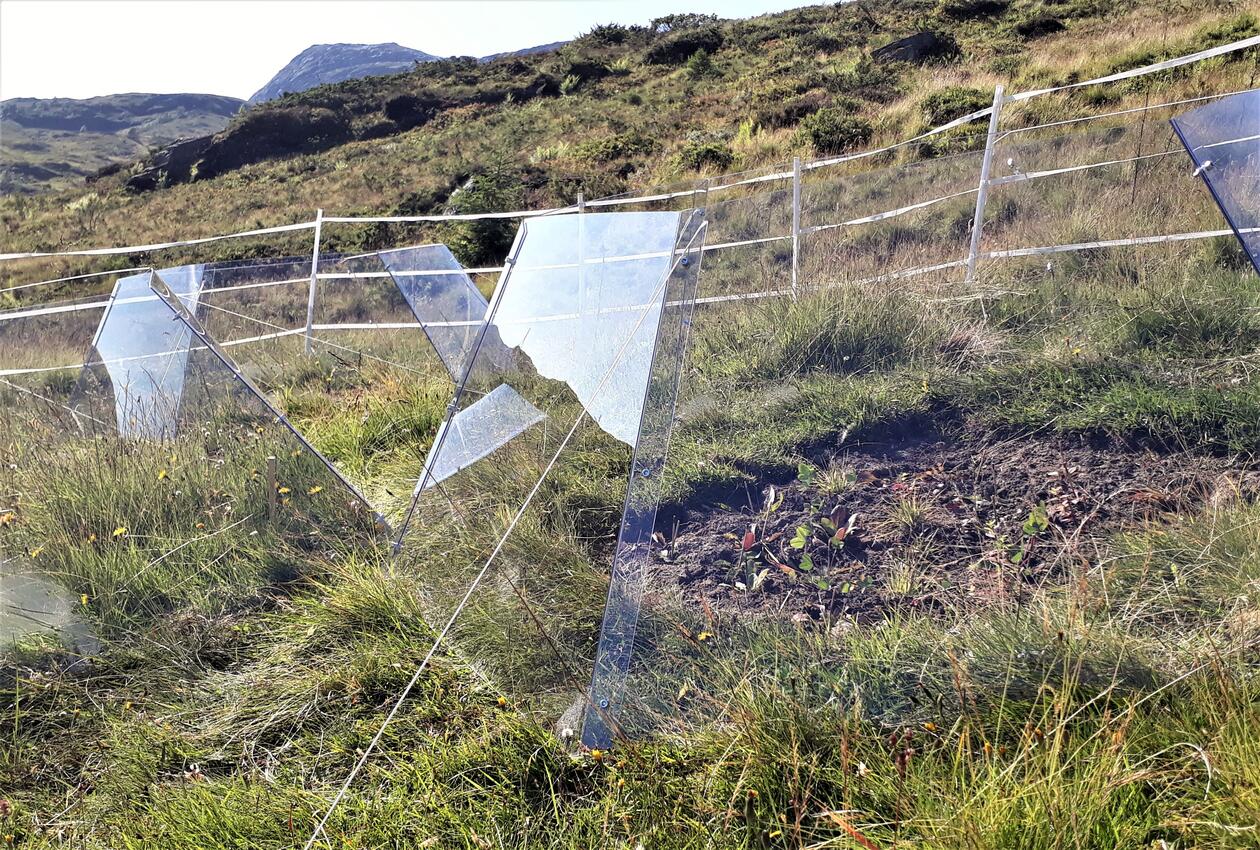 Some open-top glass-sided chambers on a grassland plot