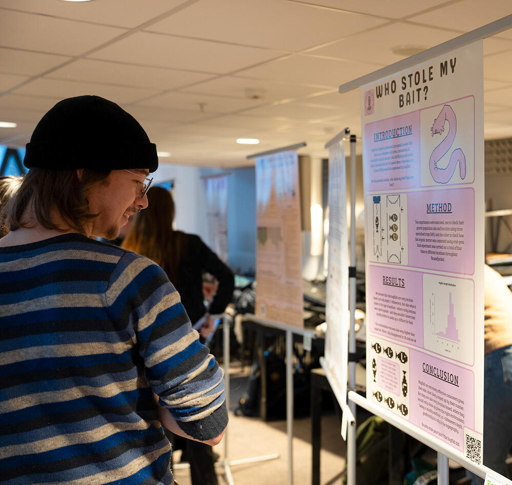 Studentene fikk presentere sine prosjekter for hverandre og besøkende ved studentpostersymposiet 2024.