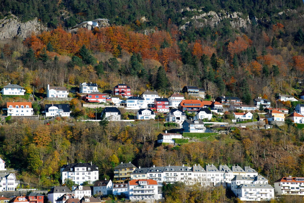 Bergen in Autumn