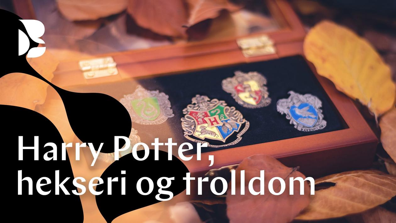 Harry Potter dag