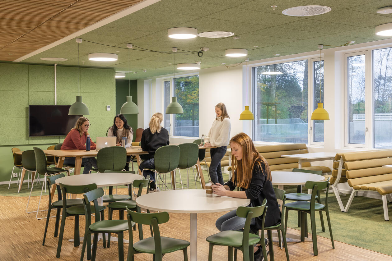 Læringsarealer I Alrek helseklynge