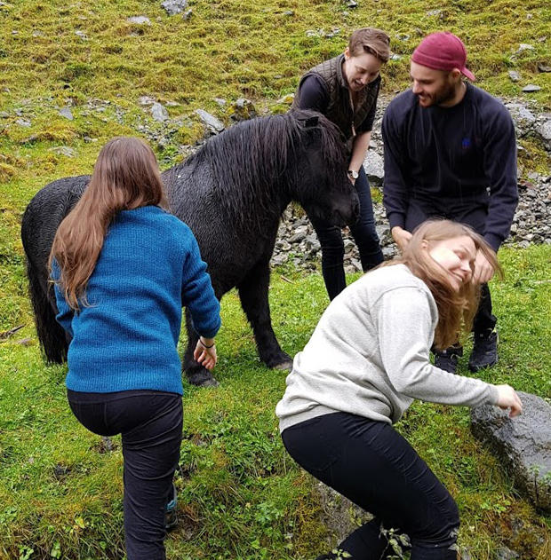 Ein ponny skapar oppstyr på turen. A pony!