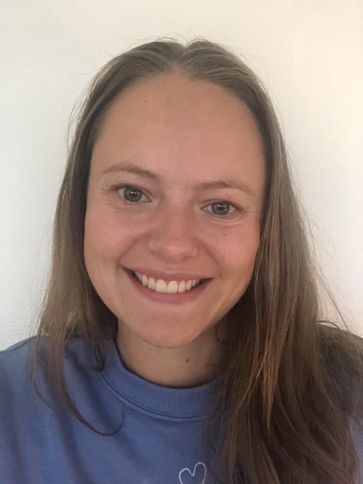 Mineralization in the transition between sheeted dykes and pillow lava