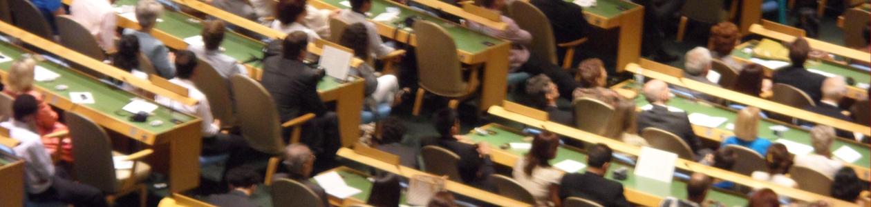 UN General Assembly