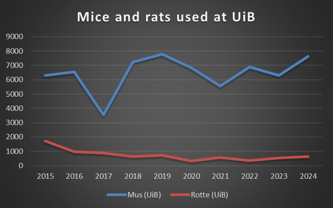 Antall rotter og mus brukt i forskning