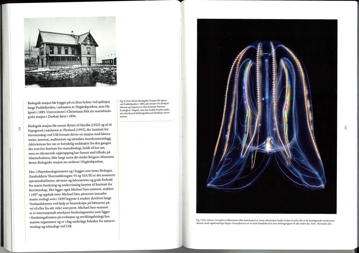 Page 115 of the University Museum yearbook