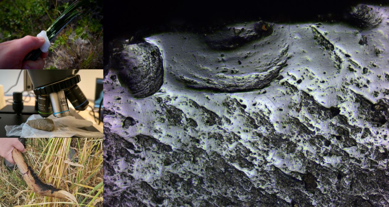 Exploring neolithics lives