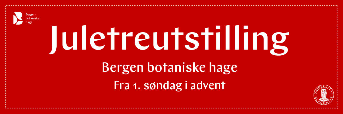 Juletreutstilling