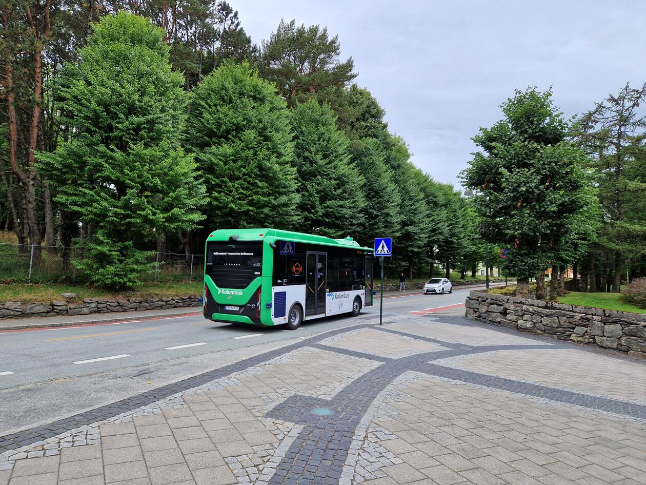 Road lined with trees with a green and white bus in the foreground