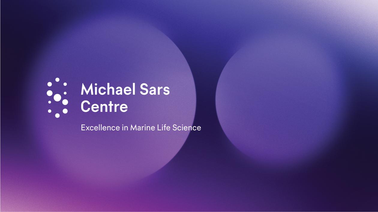 Background and MS logo