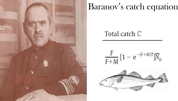 Portrait of Fedor Baranov and his catch equation