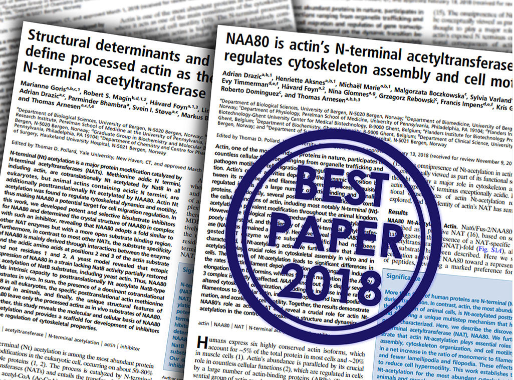 To forskningsartikkler stemplet med Best paper 2018