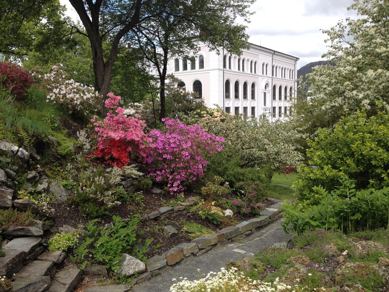 Bilde av sørfløyen til Universitetsmuseet