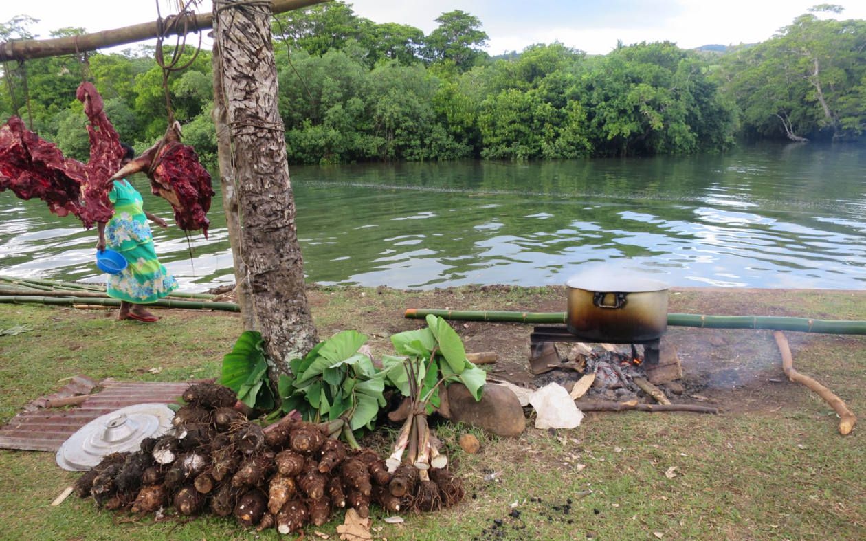 a slaughtered cow and a pile of yams by the riverside