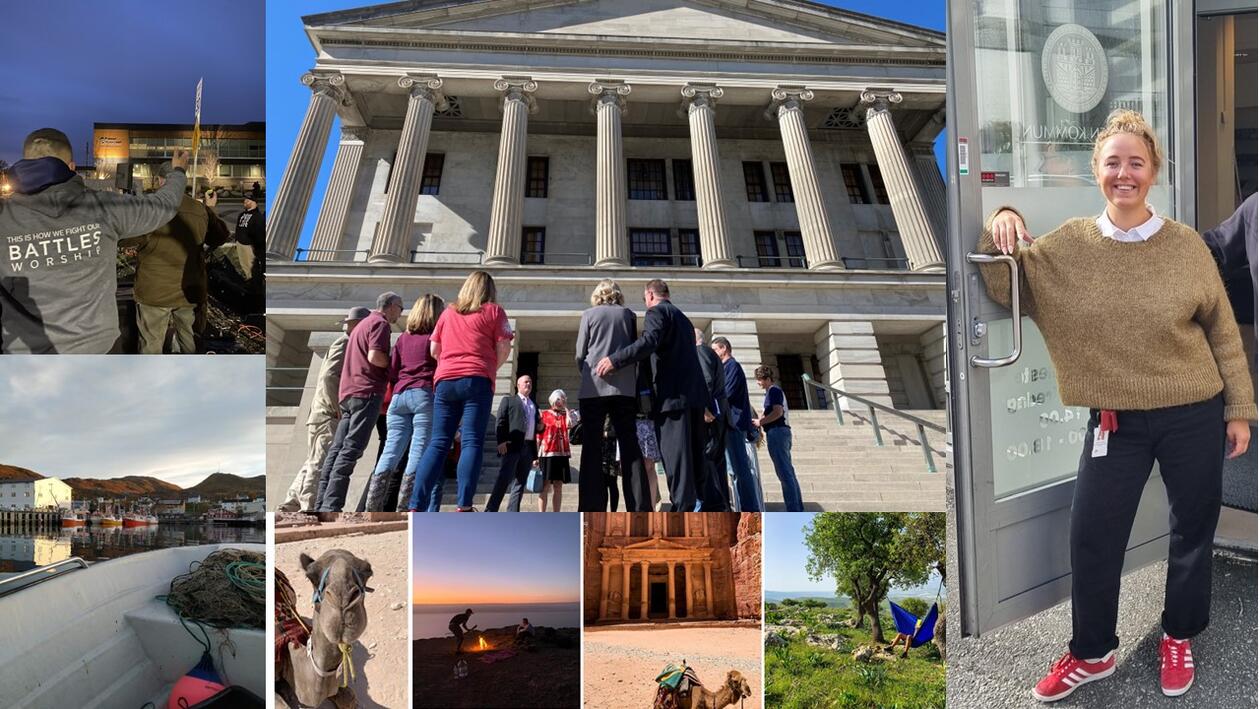 Ulike bilder fra feltarbeid