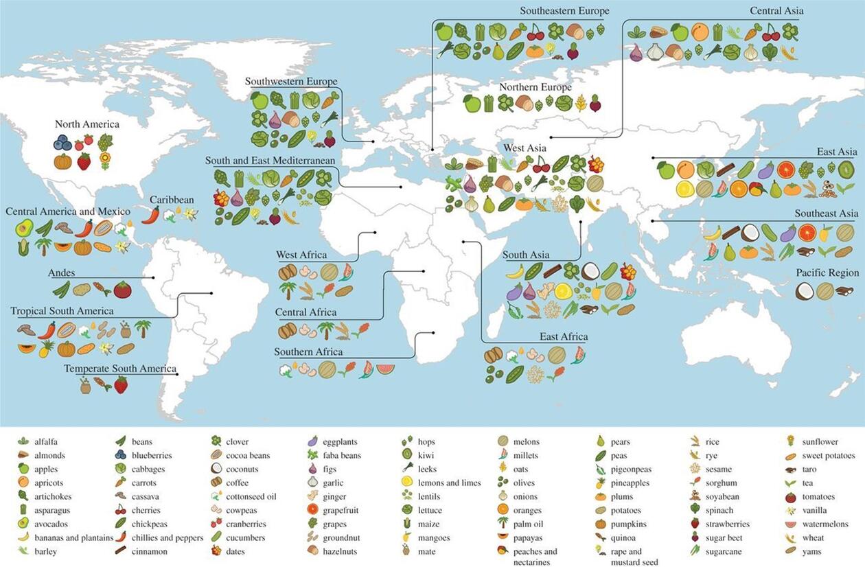 Primary regions of diversity of major agricultural crops worldwide
