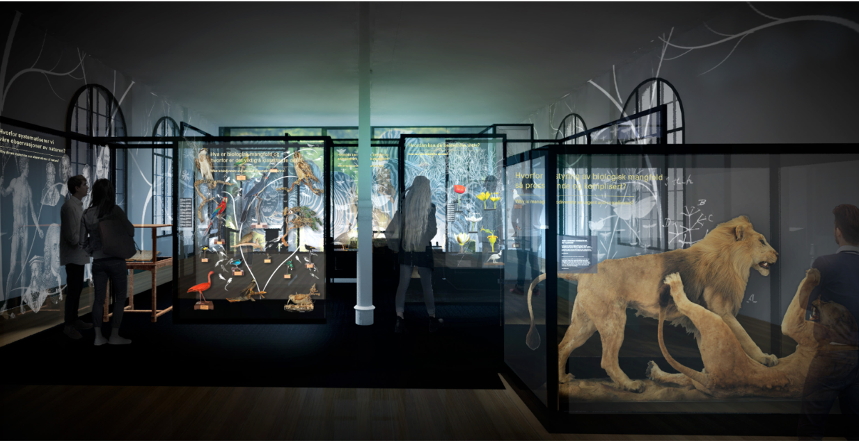 Skisse av utstilling som viser montre med livetstre, løver og mennsker i utstilling