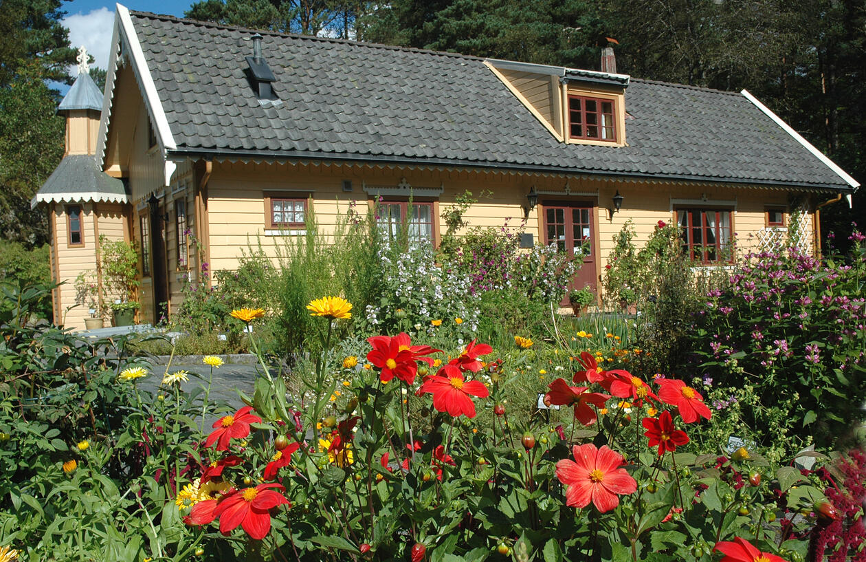 Blondehuset midt i en blomstrende hage