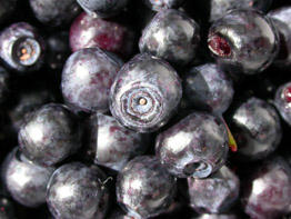 Sixteen blueberries