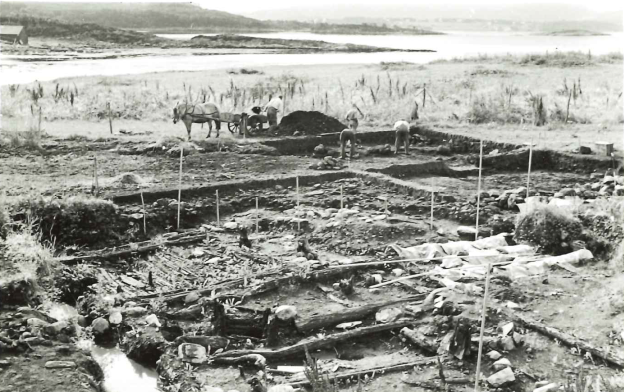 Arkeologisk utgravning på Borgund 1954