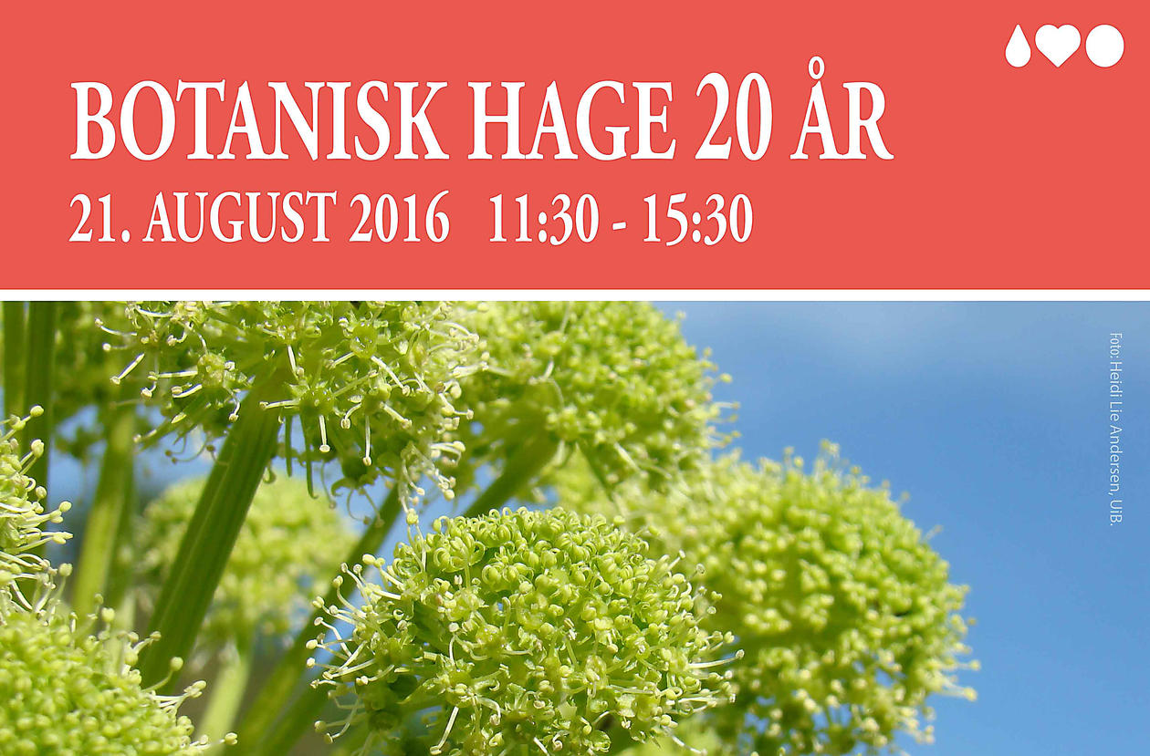 Botanisk hage 20 år