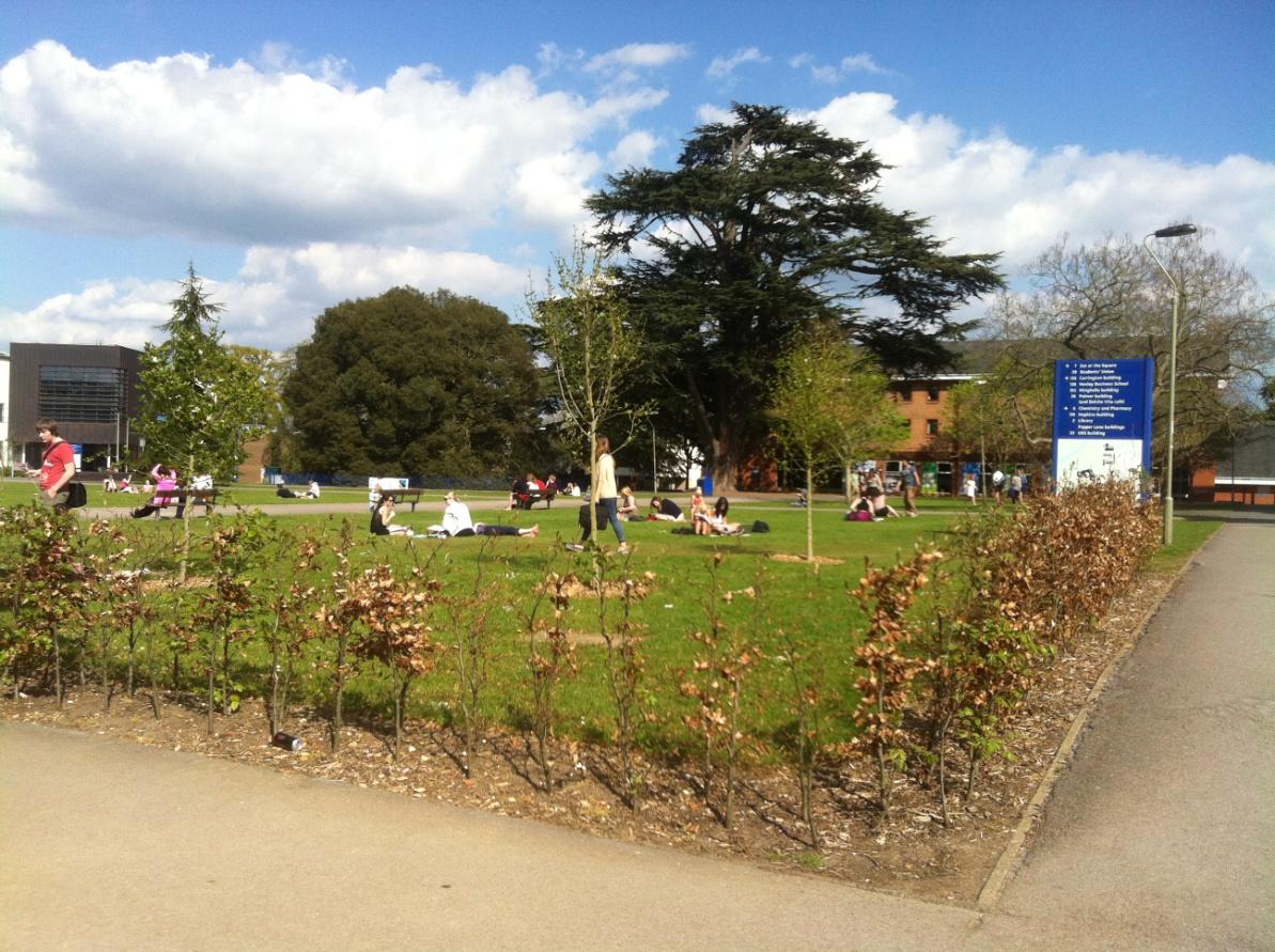 Grøntområde mellom kaffebar og administrative bygg, matbutikk og nattklubb og biblioteket.